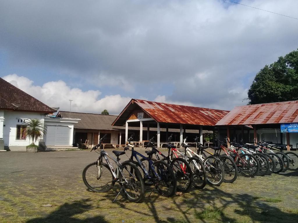Bicycle rental at Candy home stay