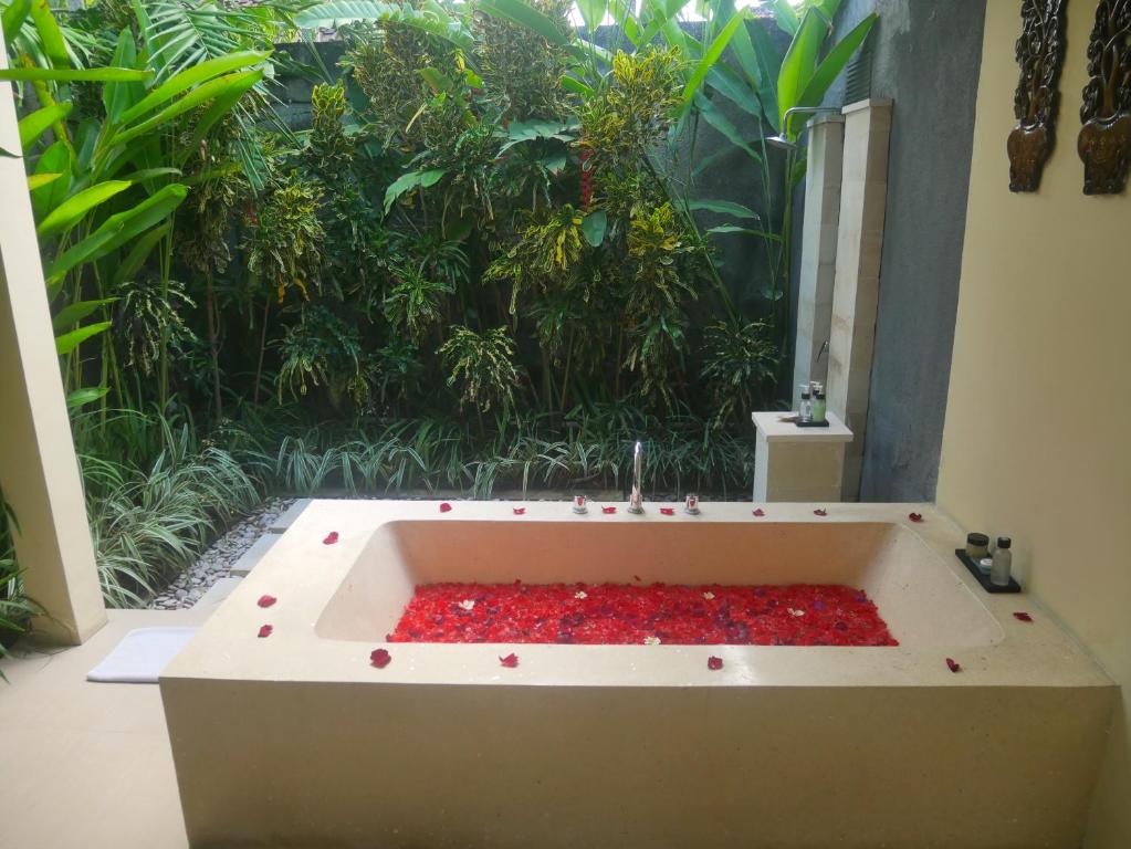Private pool at Imani Villas