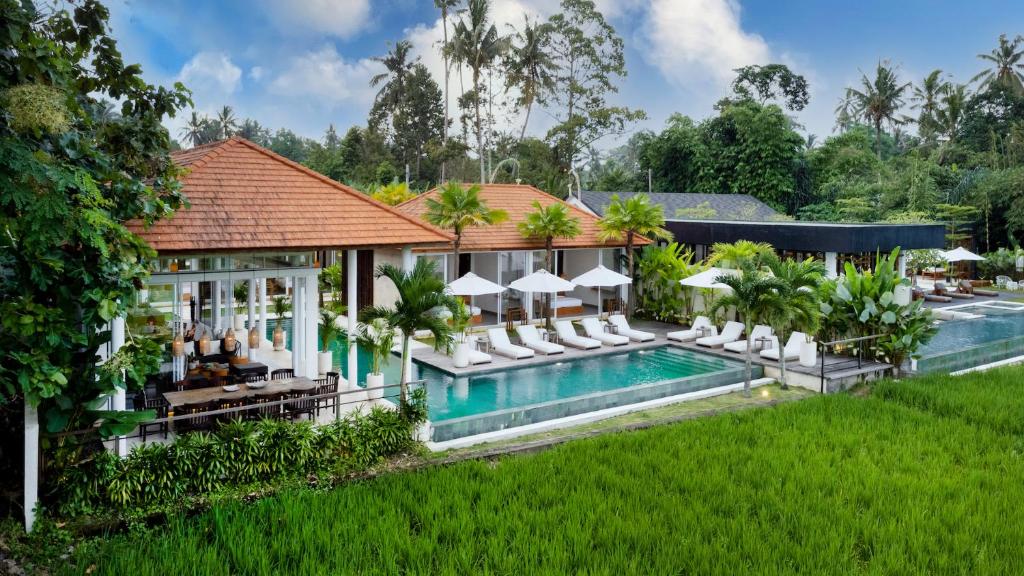 Exterior view of a private pool surrounded by rice paddy at Villa Lotus Sunset in ubud