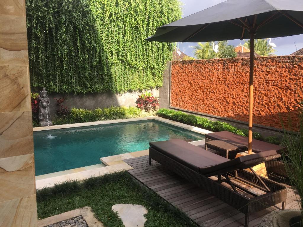 Private pool with lounge chairs and greenery