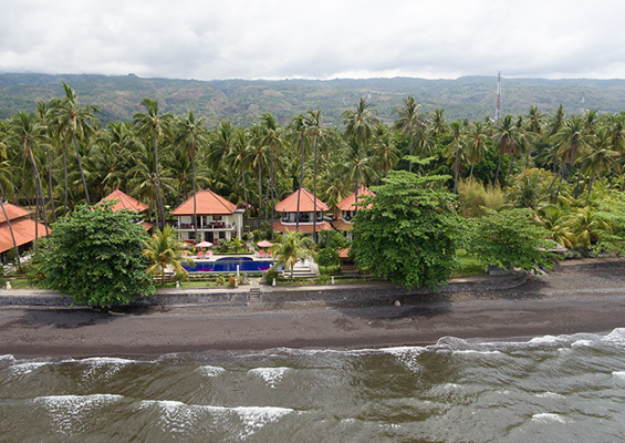 Beachfront villa surrounded by palm trees and ocean views in Canggu, Bali