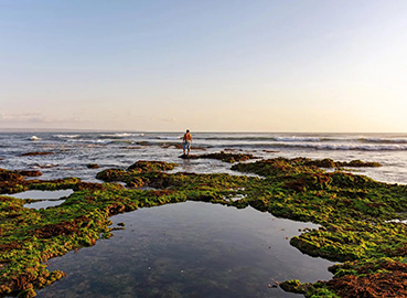Person standing on rocky shore covered in green moss, overlooking the ocean at sunset in Berawa