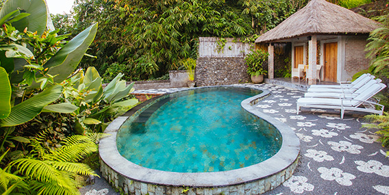 Bali villa pool and garden