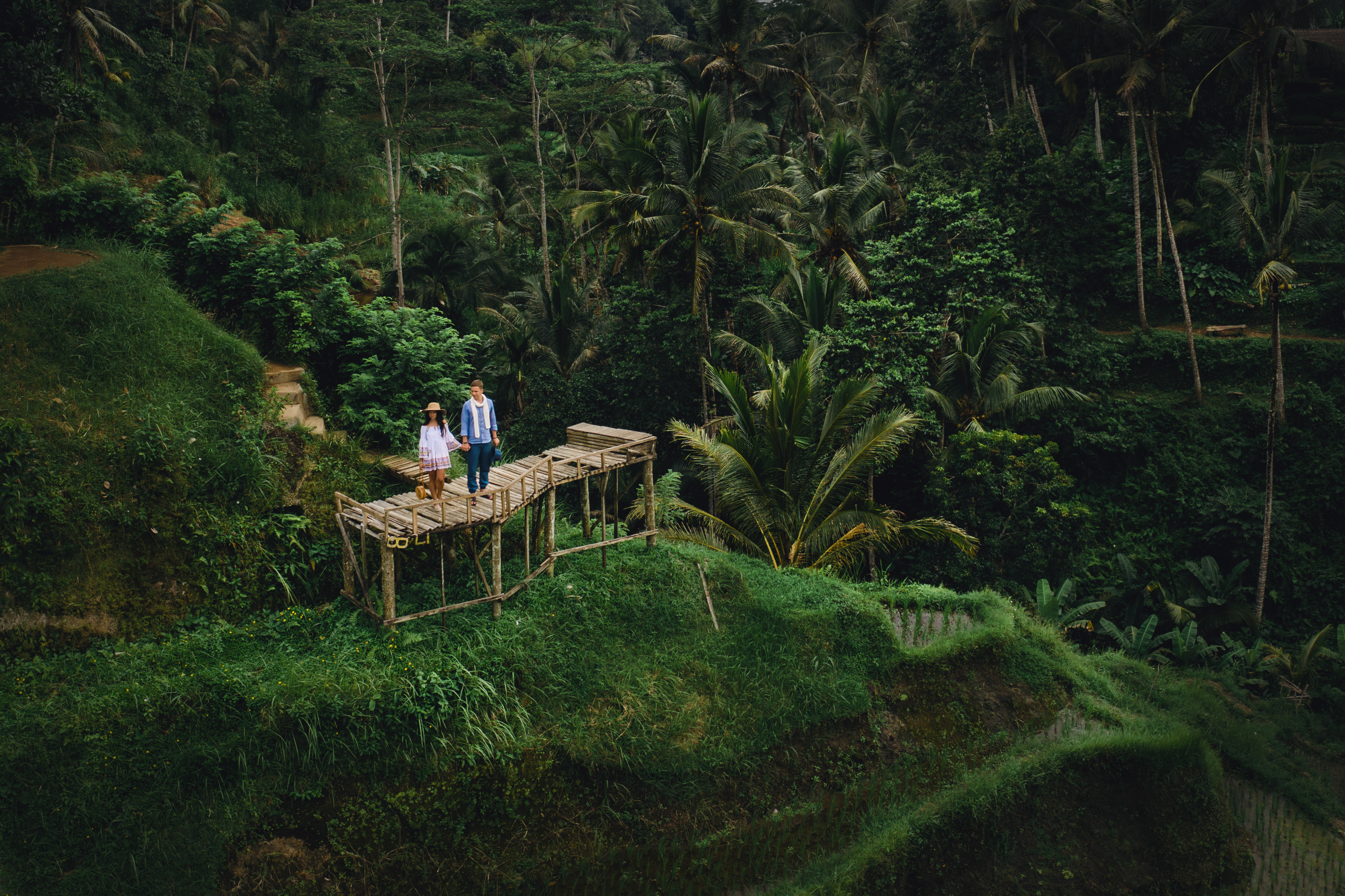 Best Time to Visit Ubud