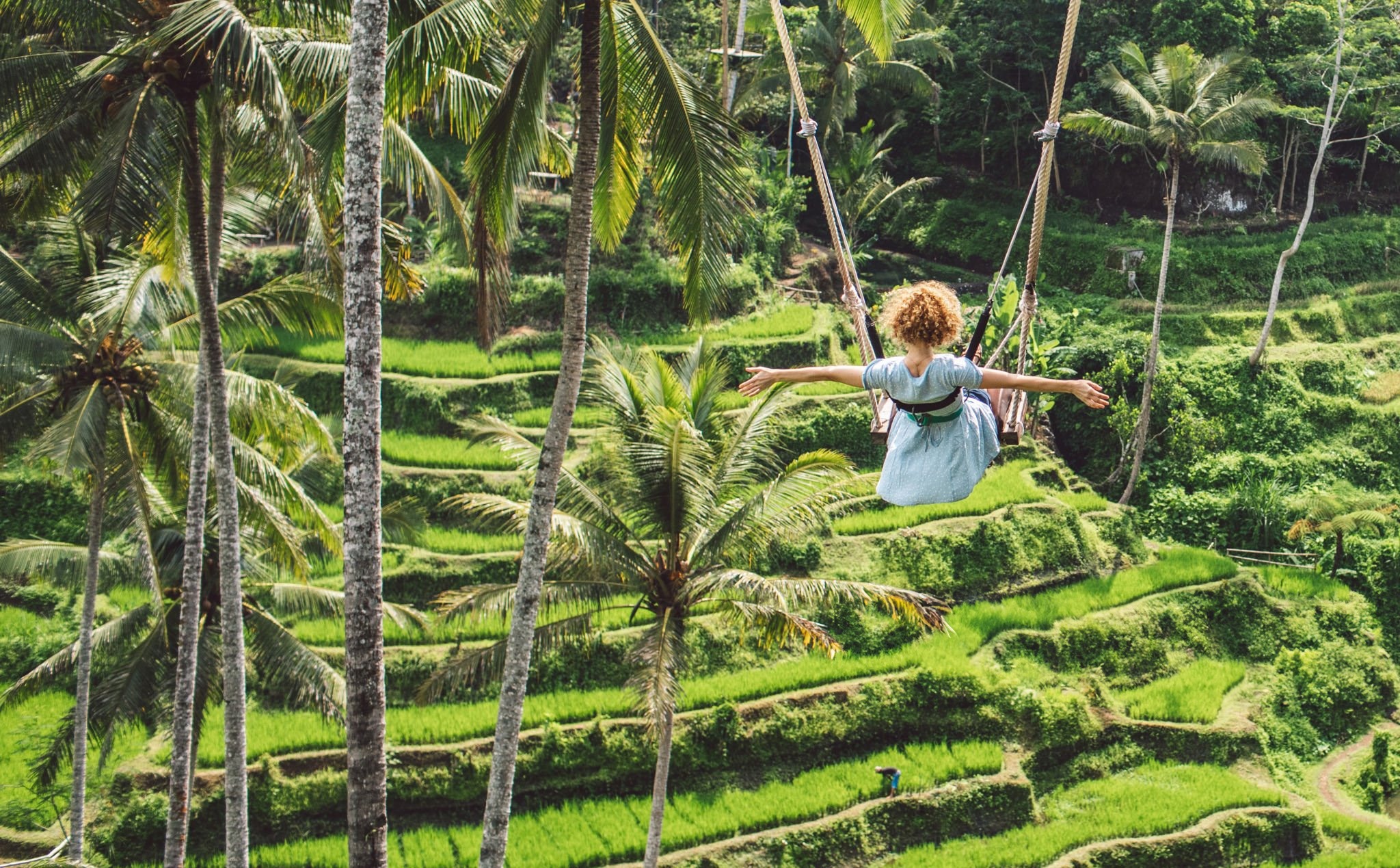 Swinging Over the Rice Fields