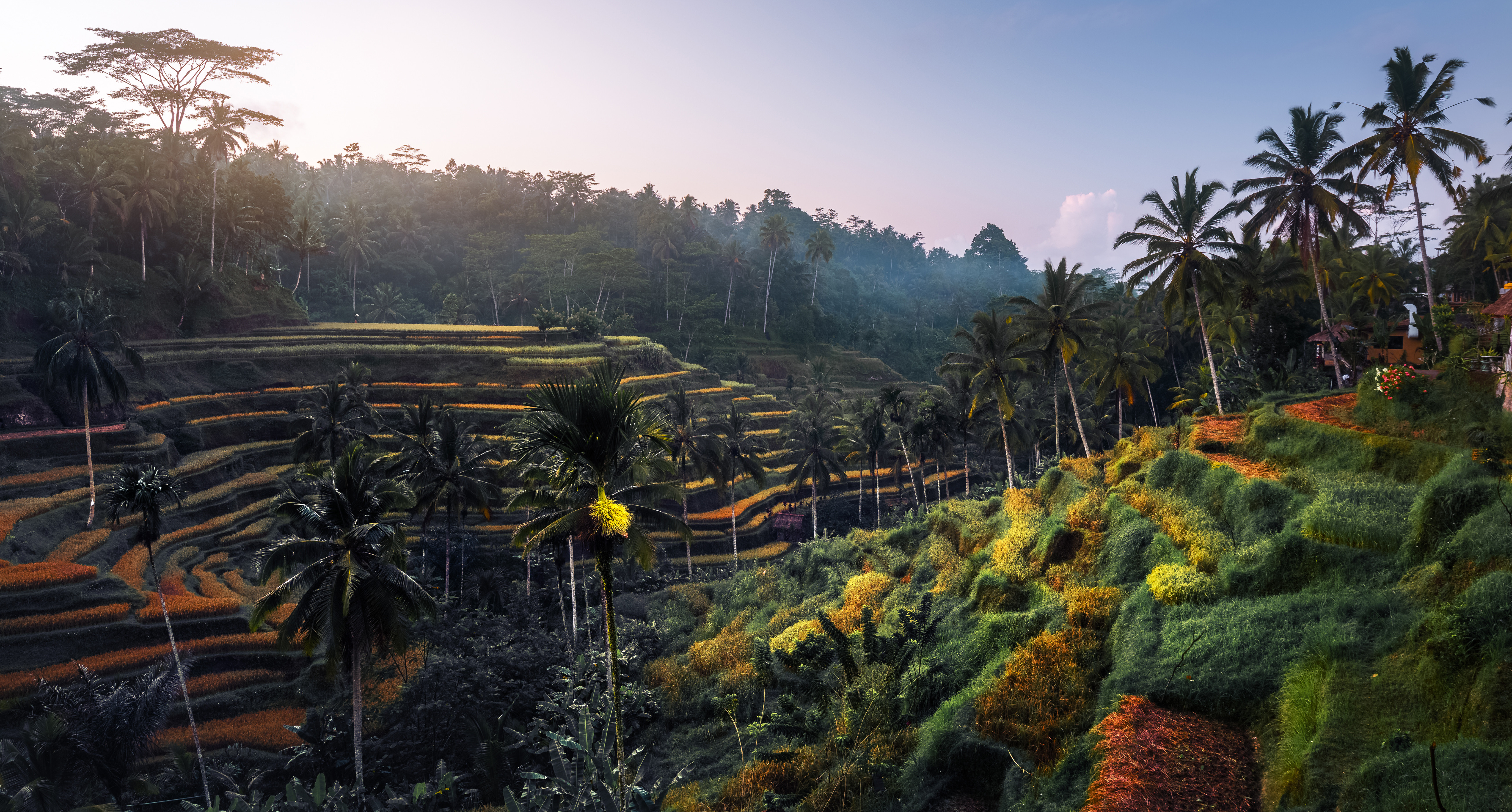 To Ubud