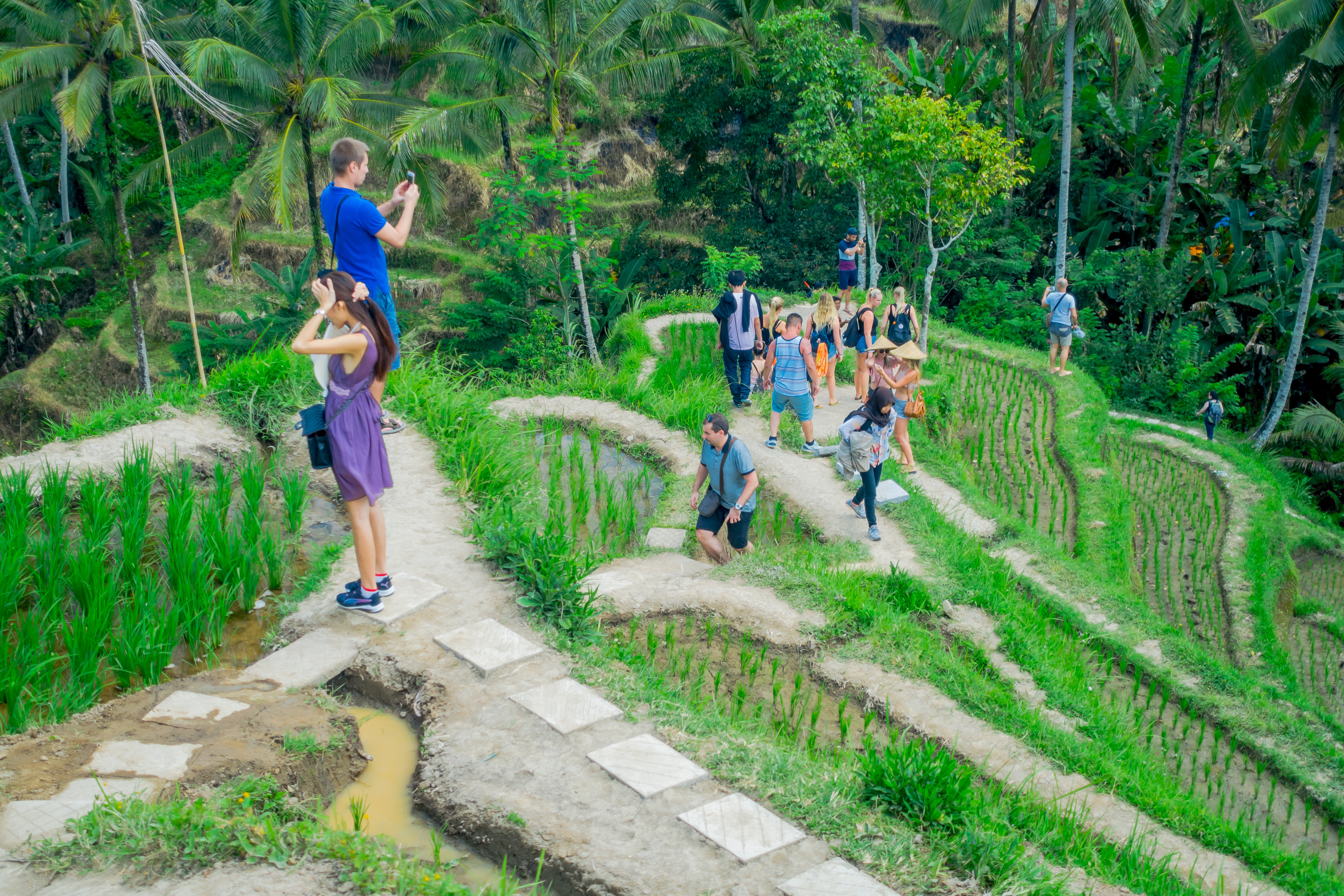 Trekking Through the Terraces