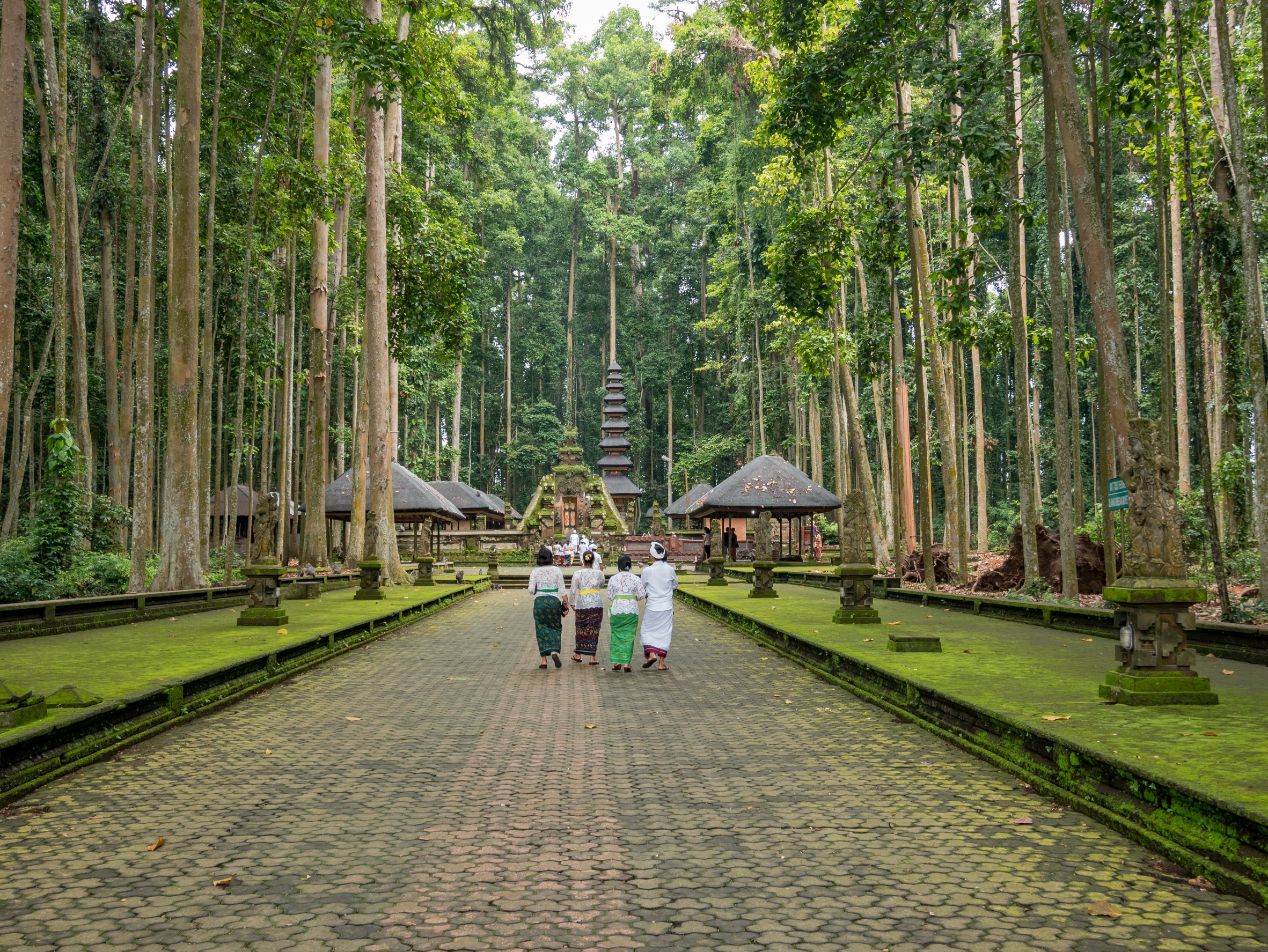 Ubud Monkey Forest