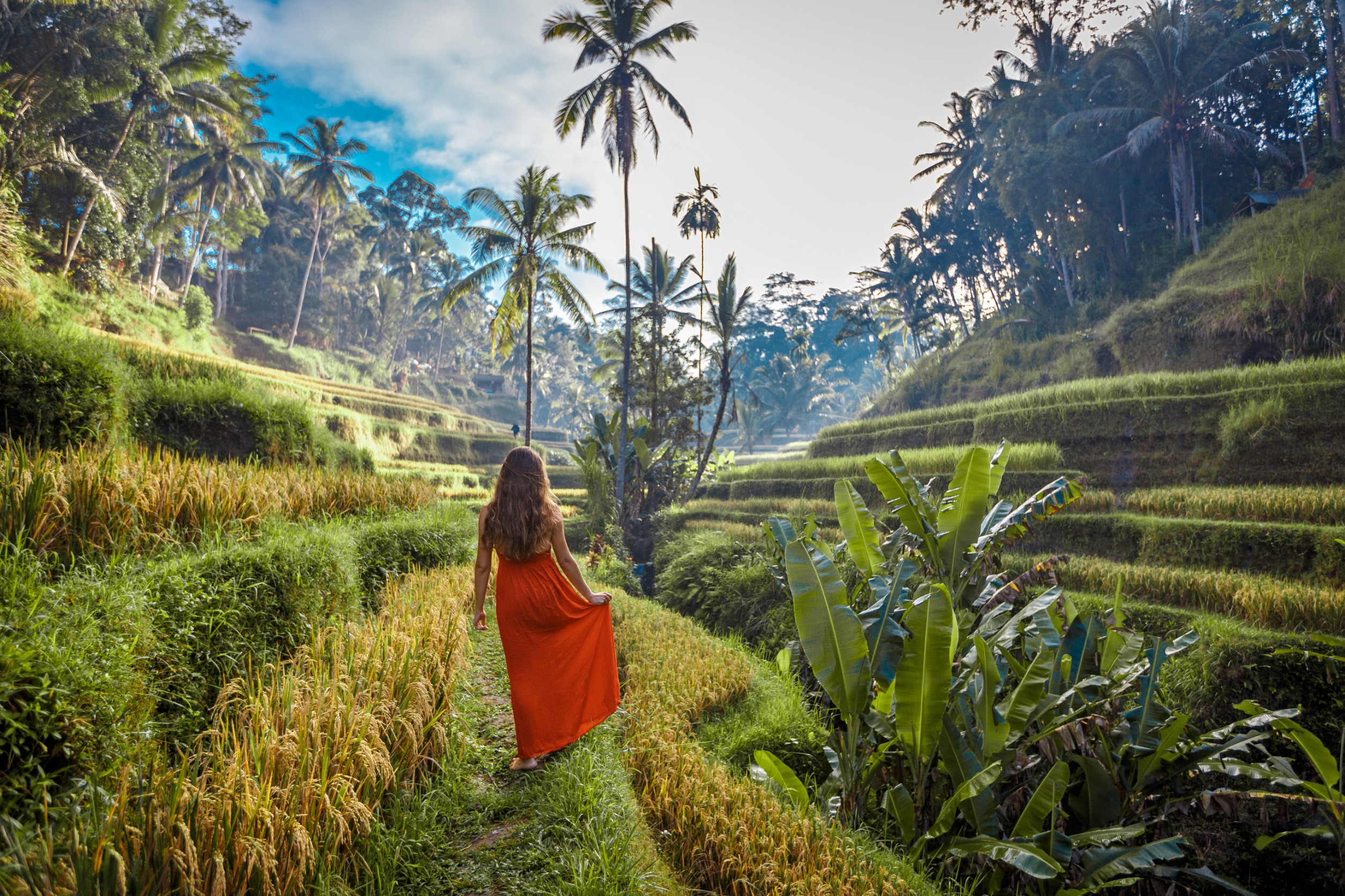 Walking the Terraces