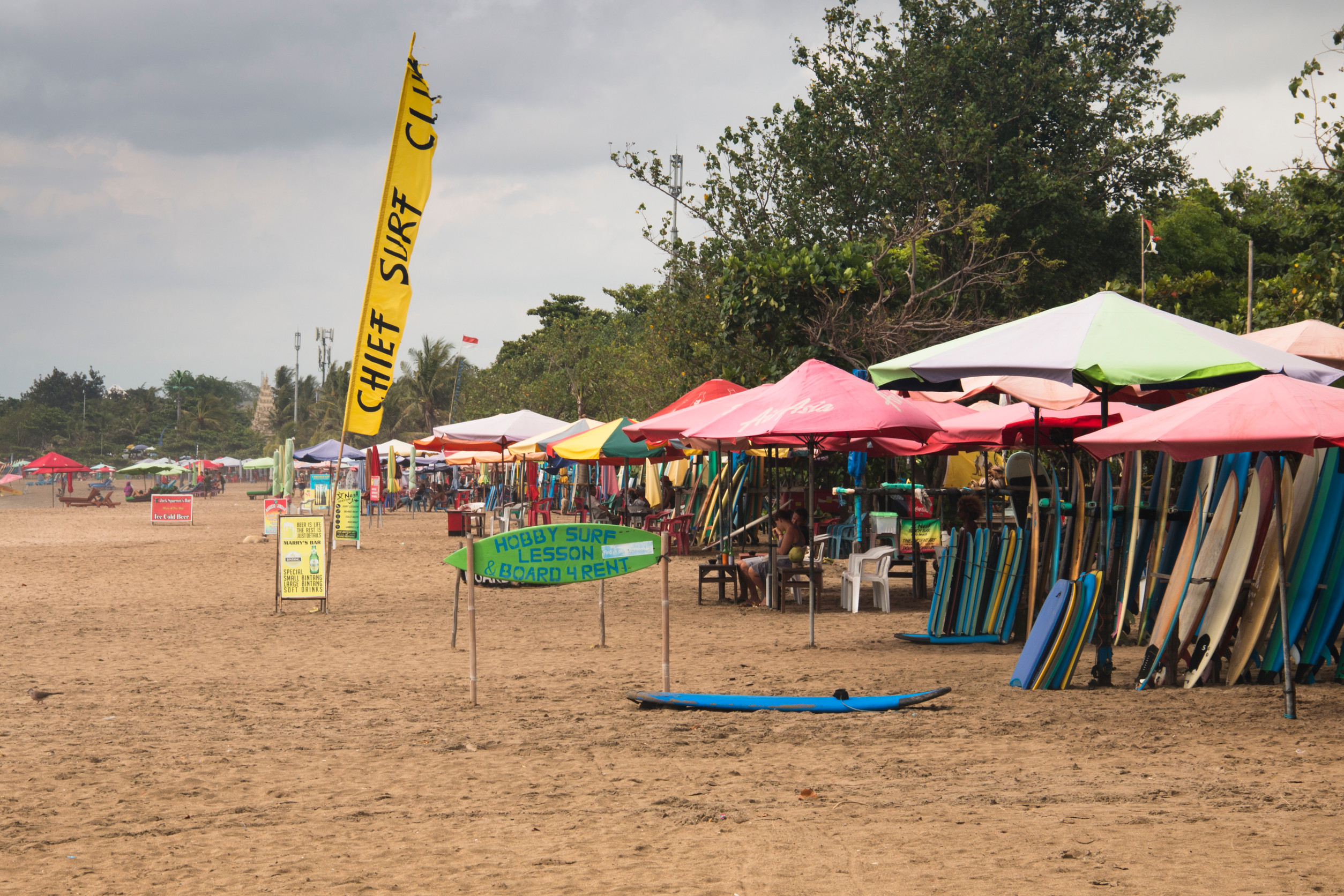Surfboards lined up in front of the beach