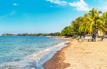 Palm-lined beach with blue sky and calm waters