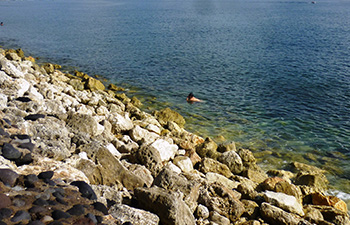 Rocky coast