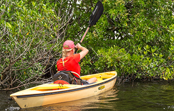 Man kayaking through lush mangrove forests in Sanur
