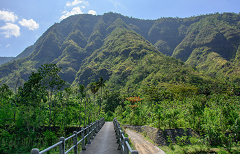 Lush road winding through the hills of Amed, Bali under a bright sky