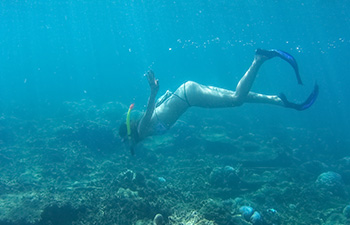 Woman diving underwater near a reef in clear tropical waters