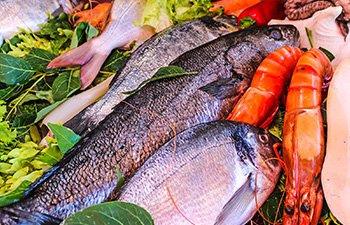 Fresh fish at Sanur seafood market