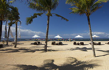 Palm trees lining a quiet beach with lounge chairs on white sand