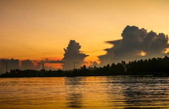 Golden sunset reflecting on the water near a beach
