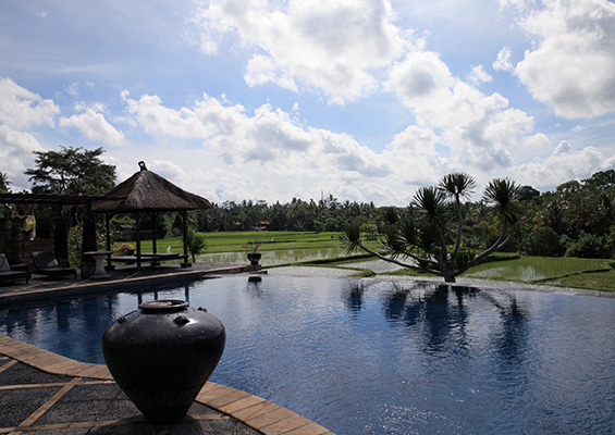 Private pool at a villa with panoramic views of rice fields and tropical greenery in Canggu, Bali