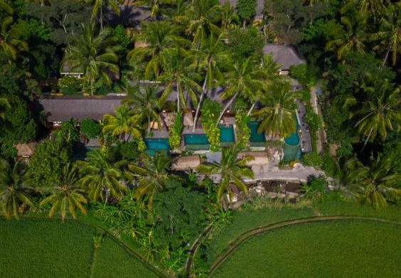 Aerial view of a tranquil villa surrounded by greenery