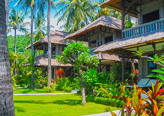 Tropical villa with palm trees and vibrant gardens, offering a serene atmosphere in Canggu, Bali.