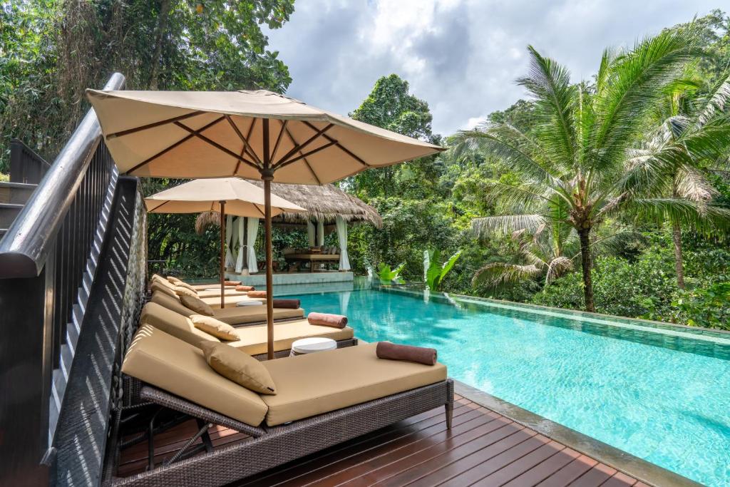 hidden palace poolside view