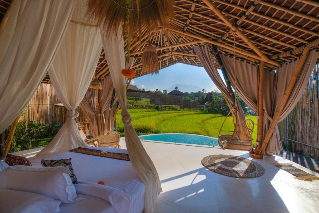 Bamboo villa with rice field view