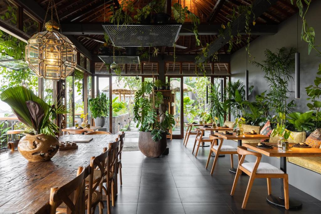 samanvaya   adults restaurant2