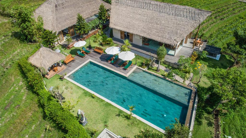 villa kropak pool2